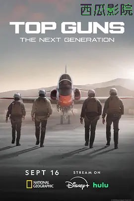 壮志凌云：下一代