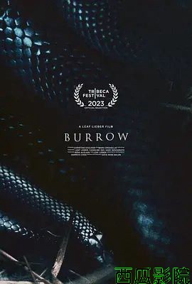 地洞 （2023）