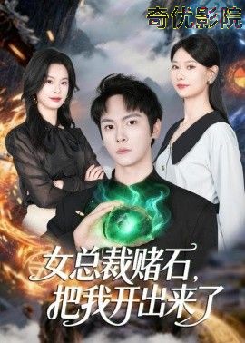 女总裁赌石，把我开出来了